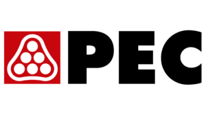 Professional Engineering Consultants (PEC) Logo